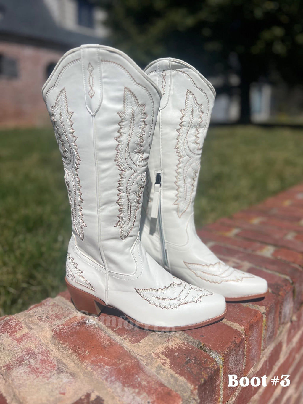 Western Boots